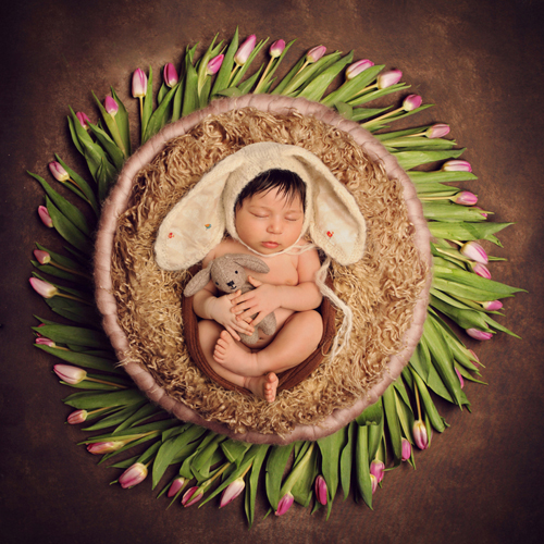 photography janine healy newborn baby shoot
