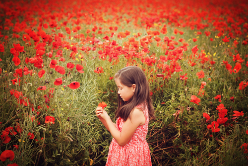 photography janine healy children siblings lifestyle outdoor shoot