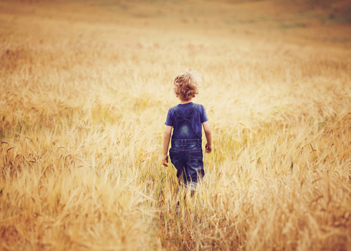 photography janine healy children siblings lifestyle outdoor shoot