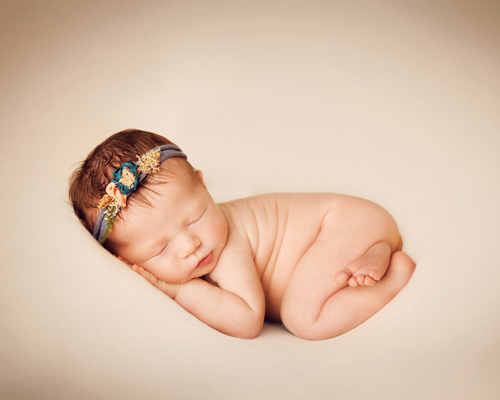 photography janine healy newborn baby shoot