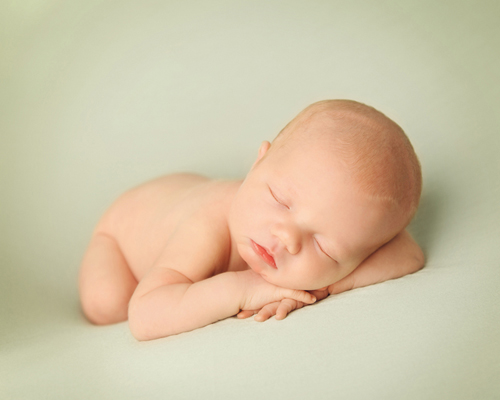 photography janine healy newborn baby shoot