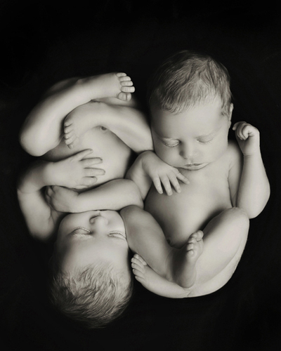 photography janine healy newborn baby shoot