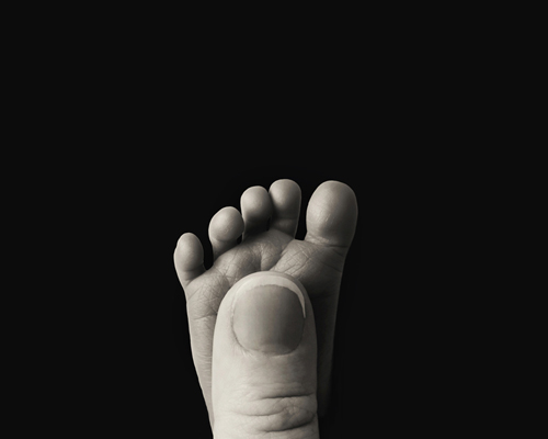 photography janine healy newborn baby shoot