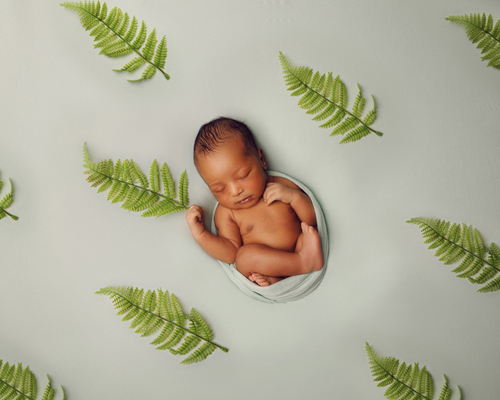 photography janine healy newborn baby shoot