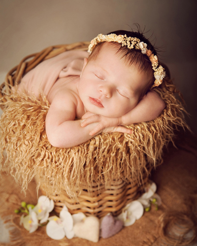 photography janine healy newborn baby shoot