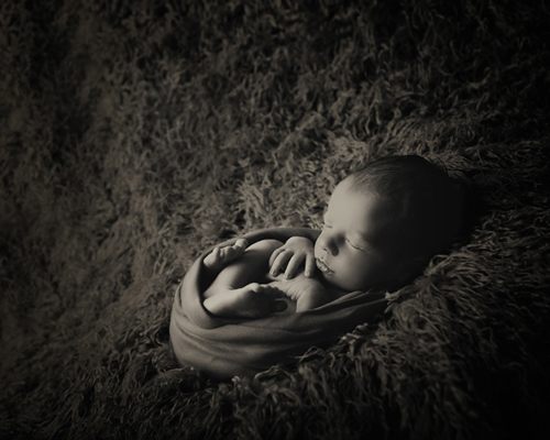 photography janine healy newborn baby shoot