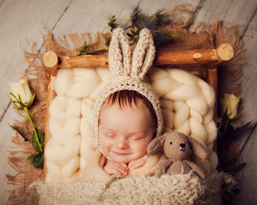 photography janine healy newborn baby shoot