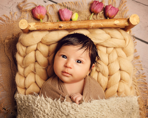 photography janine healy newborn baby shoot