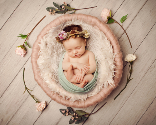 photography janine healy newborn baby shoot