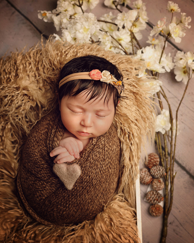 photography janine healy newborn baby shoot